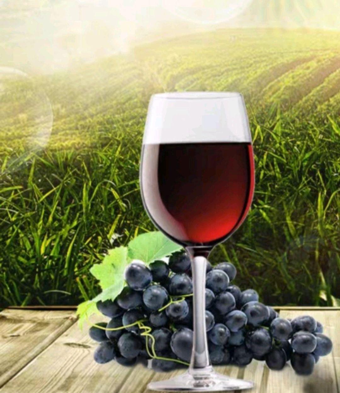 自制葡萄酒葡萄和冰糖比例是多少,自制葡萄酒的正确方法与详细步骤