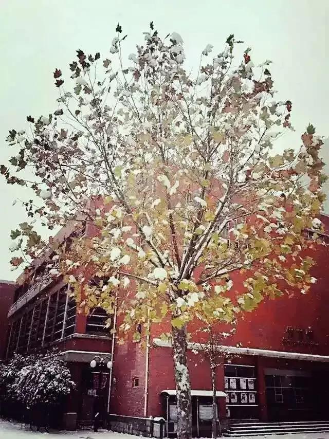 天津高级中学,天津市第二南开中学录取分数线