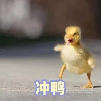 2020最火发色大全图片,2020流行发色显白黄皮