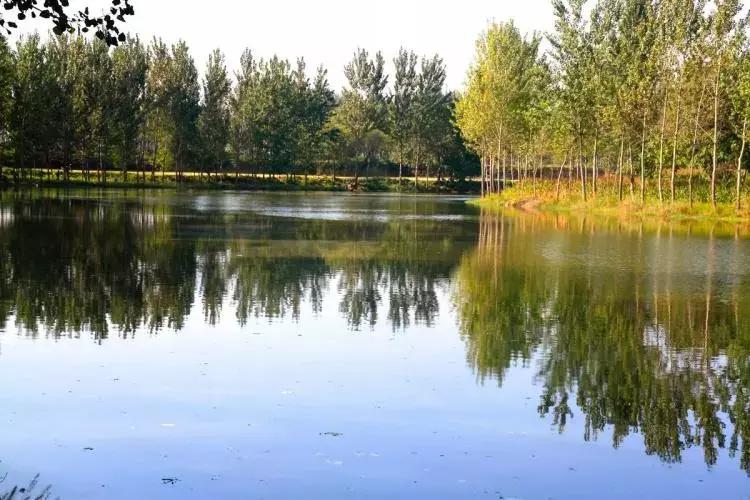 新密市融入郑州规划,新密会成为郑州的一个区吗