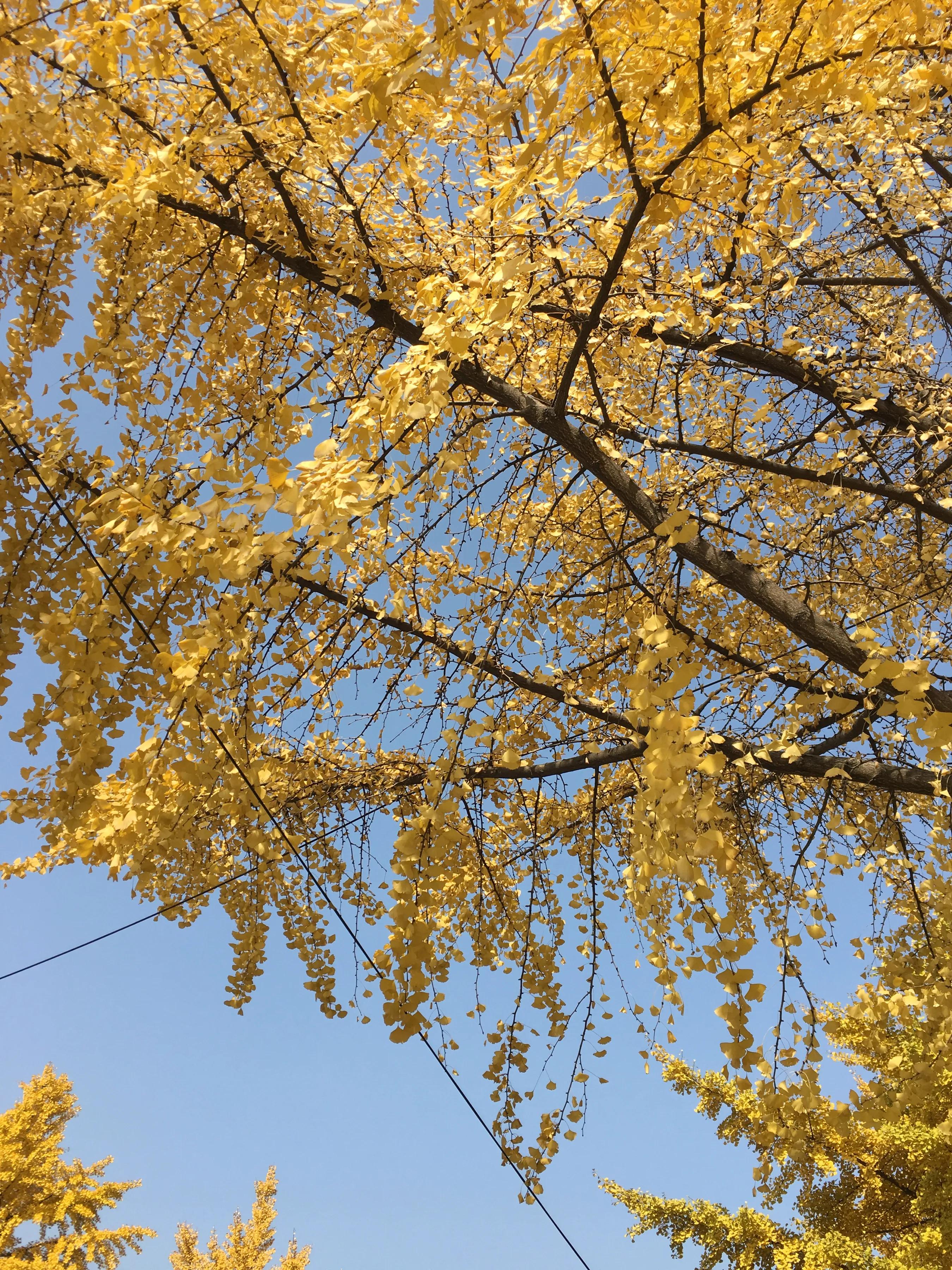 都江堰景区养老套房,都江堰老人养老的弊端