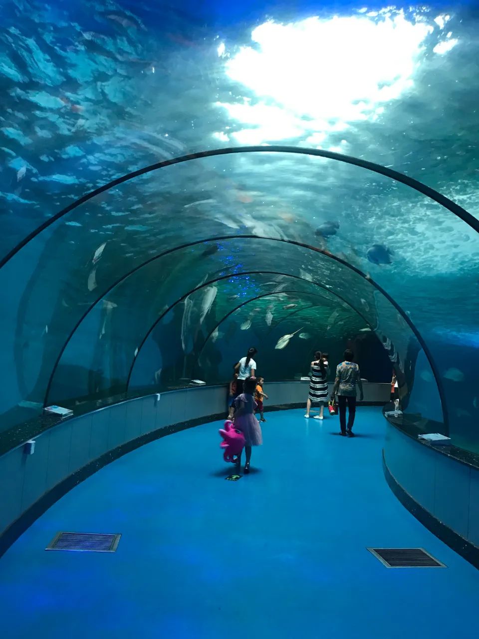 济南动物王国一日游详细攻略,济南一日游动物园