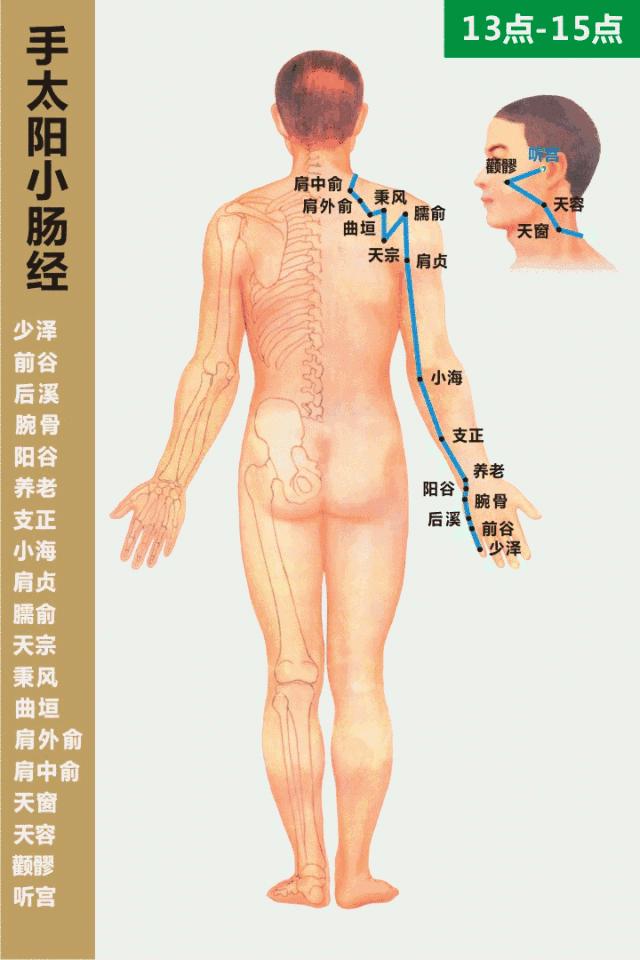 最全经络高清动图所有穴位,最全经络高清动图
