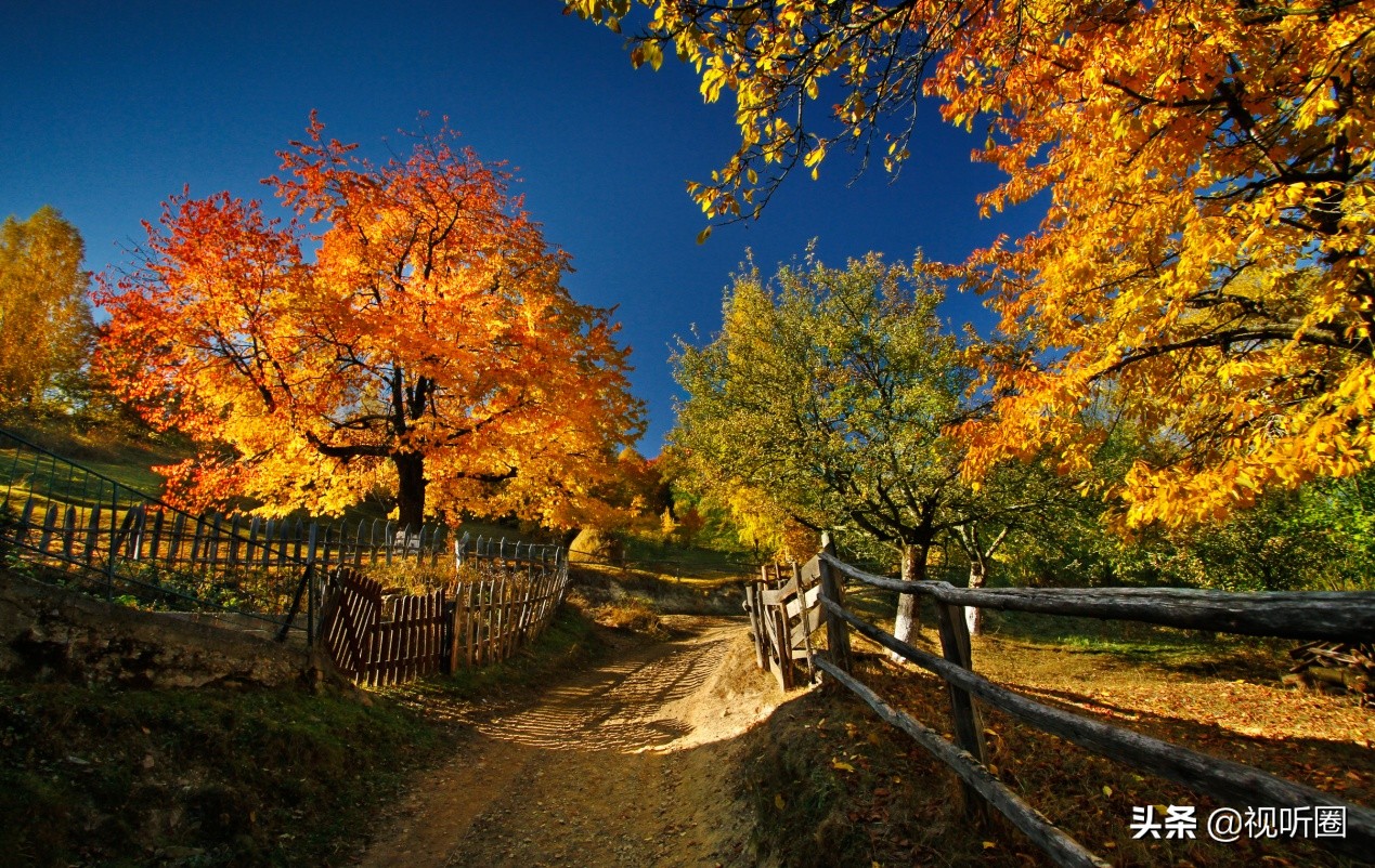 理光pjwx4141超短焦投影机,理光短焦投影机价格