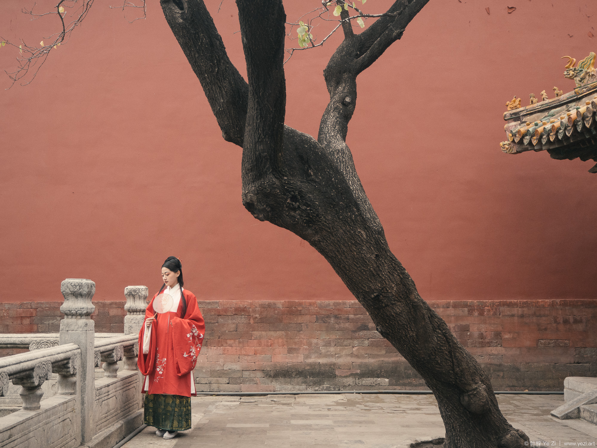 斜线构图拍摄技巧,斜线构图的目的是什么