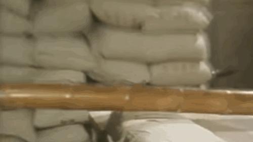 九龙城寨：亚洲最大的贫民窟，在香港矗立了164年的“罪恶之城”