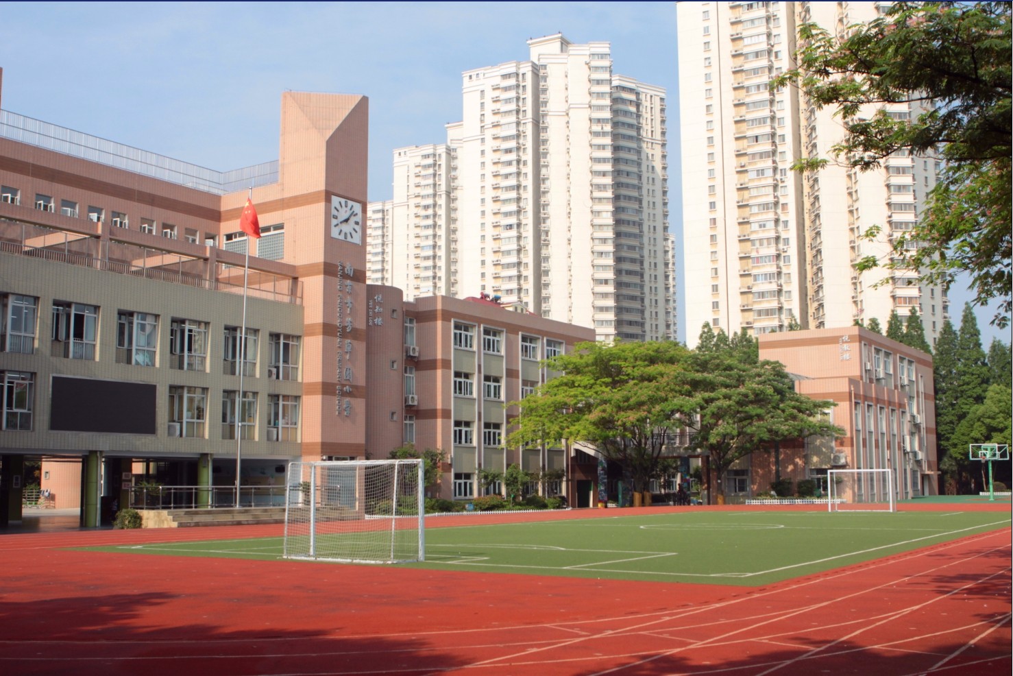 鍗椾含甯傝姵鑽夊洯灏忓缃戠珯,鍗椾含甯傝姵鑽夊洯灏忓鐓х墖