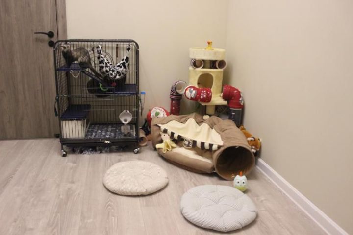 装修避坑攻略文字,装修避坑指南没有干货