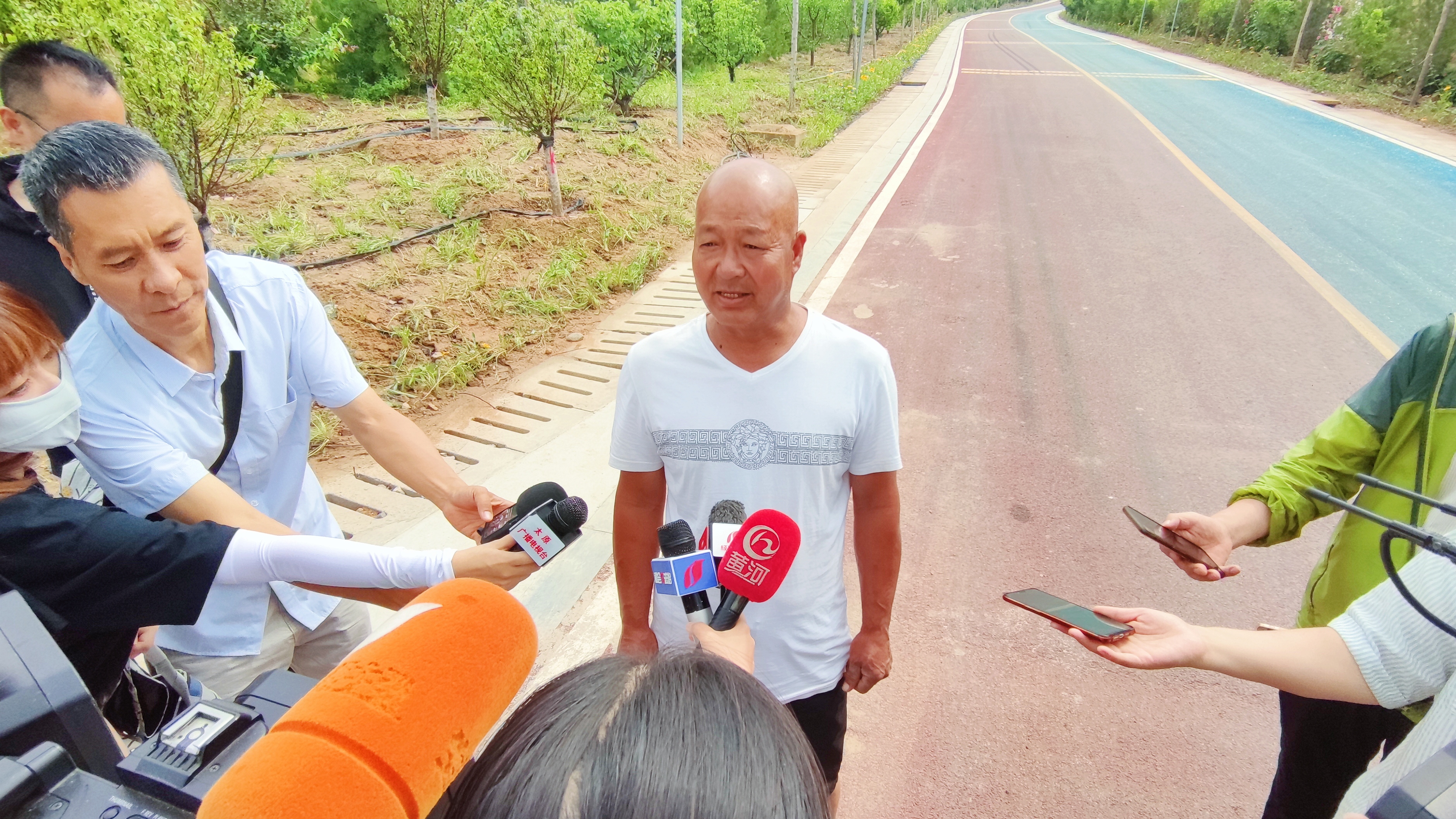 太原植树造林成果,山西人工造林工程