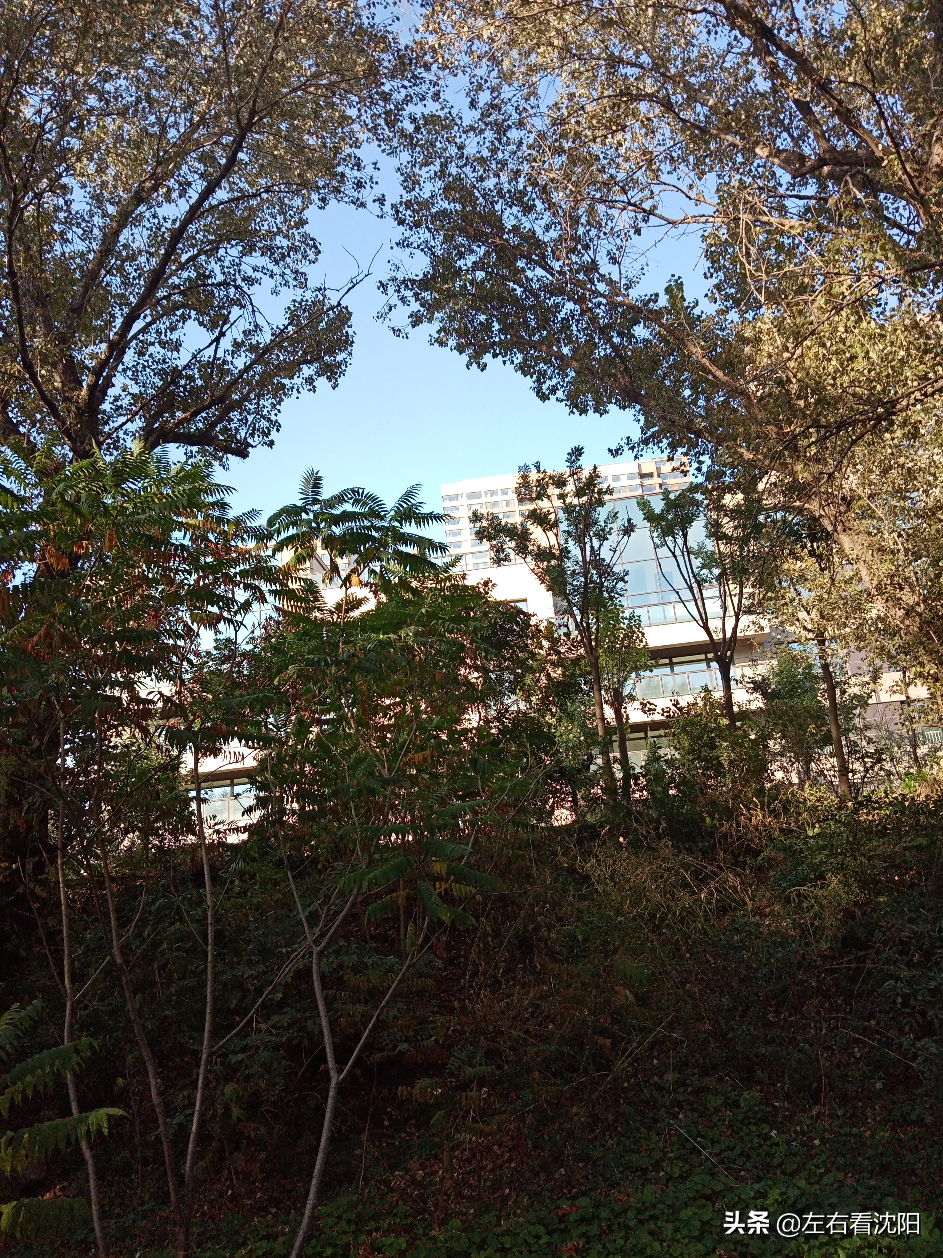 沈阳沈水湾公园看日出,沈阳浑河看海的地方