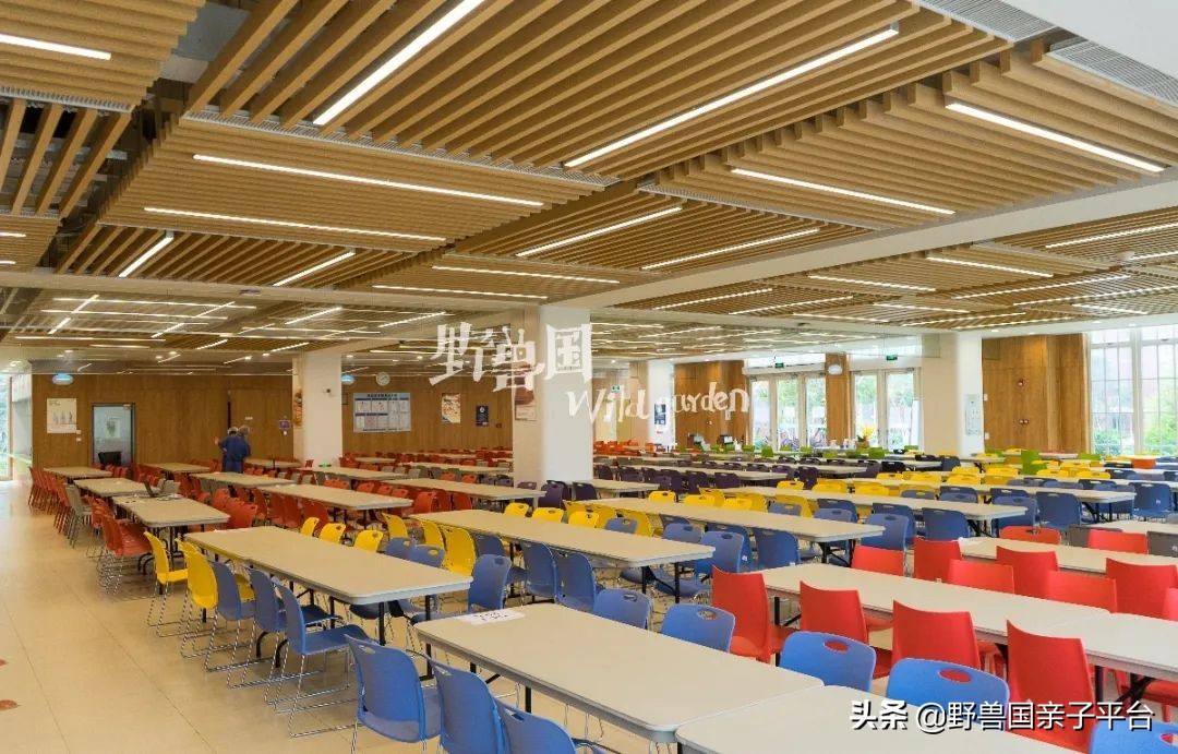 一年20万学费的清澜山学校,都在学些什么?