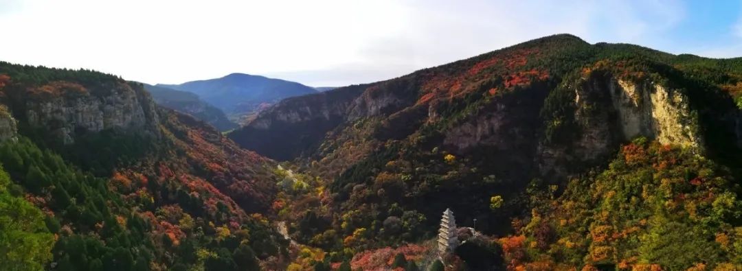 赏秋不远行就近赏秋景,赏秋何必去远方