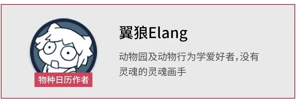 是南方蟑螂大还是北方蟑螂大,比南方蟑螂还有可怕的蟑螂