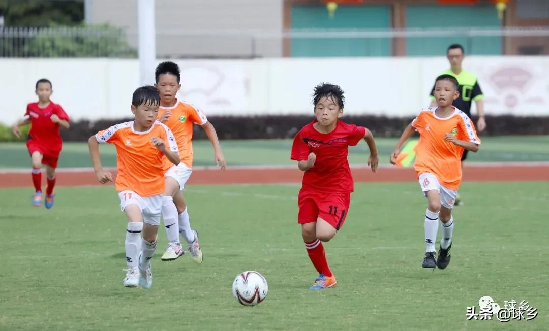 体教融合丨梅县区:中小学生足球联赛持续精彩,新城小学顽强夺冠