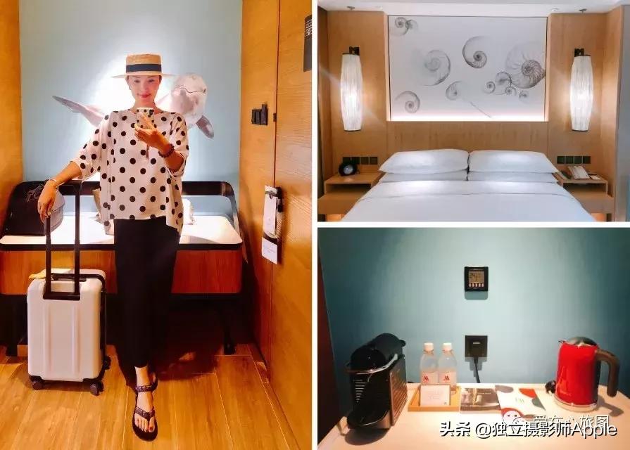 香港海洋公园自由行游玩攻略,香港旅游攻略香港海洋公园