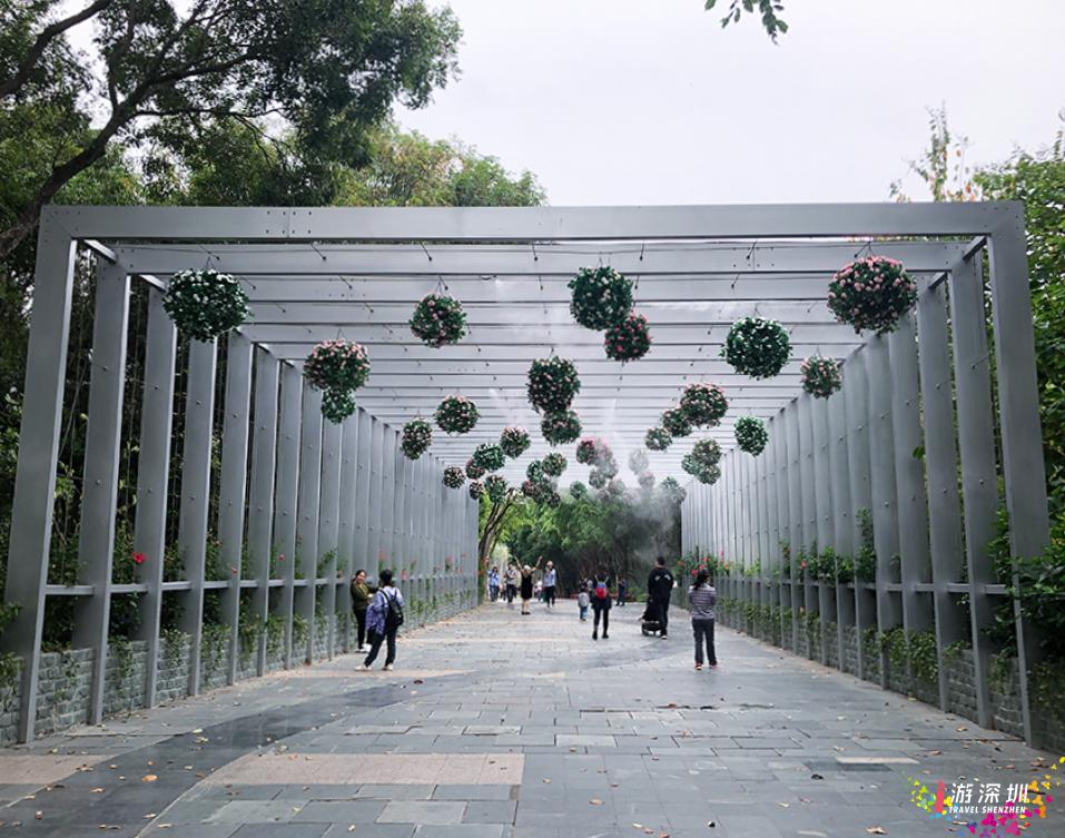 深圳花展2019年12月时间表,深圳第一场春天花展