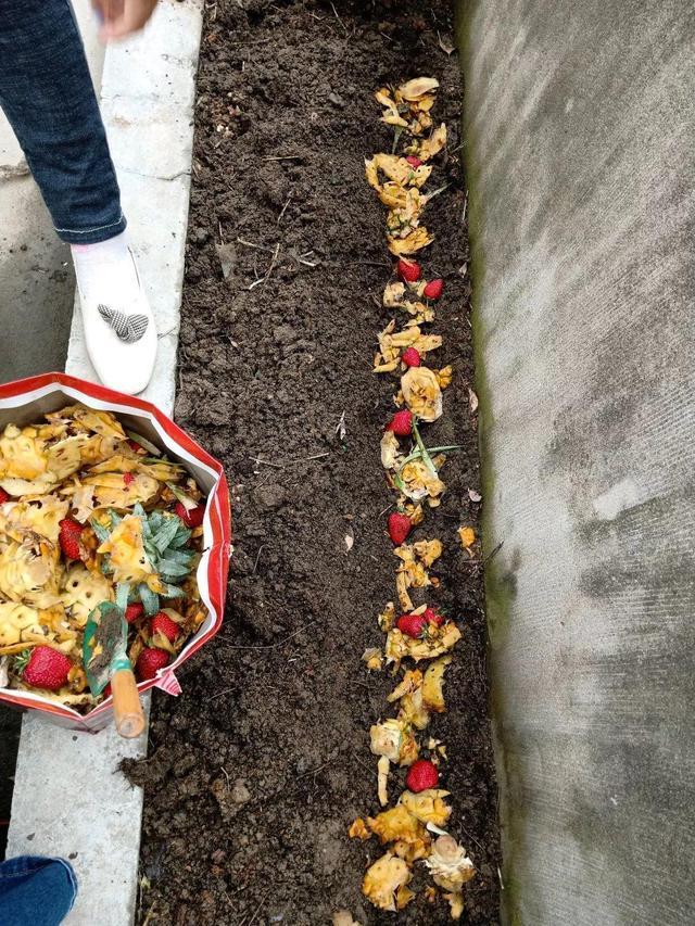 沤肥的最简单方法,豆渣做肥料教你不臭沤肥法