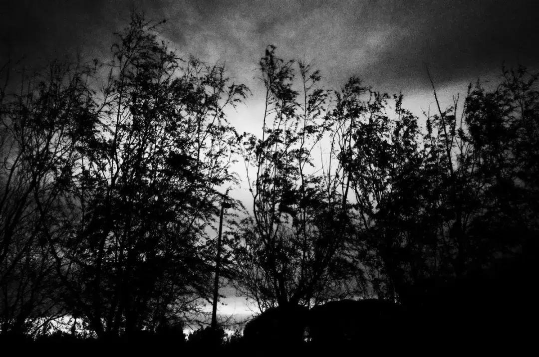 字节跳动这些卧虎藏龙的Lark群，你在里面吗？