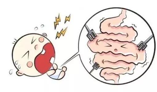 益生菌与肠道健康,益生菌与肠胃功能紊乱