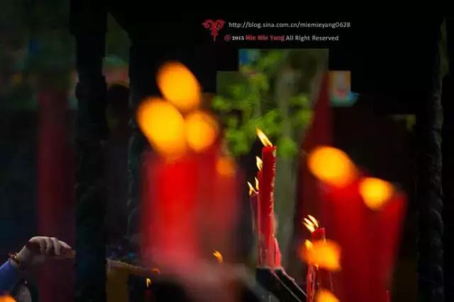 天目山斐文禅意酒店,天目山上客堂酒店斐文野奢民宿