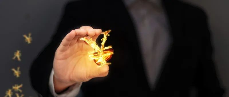 数知科技股价实情,数知科技财务造假