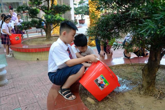 这所学校在家长圈里火了