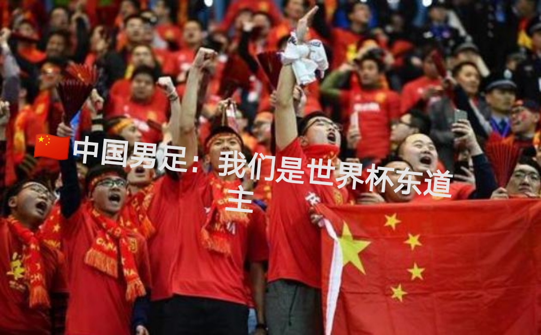 中国举办过男足世界杯吗,球迷谈国足2021