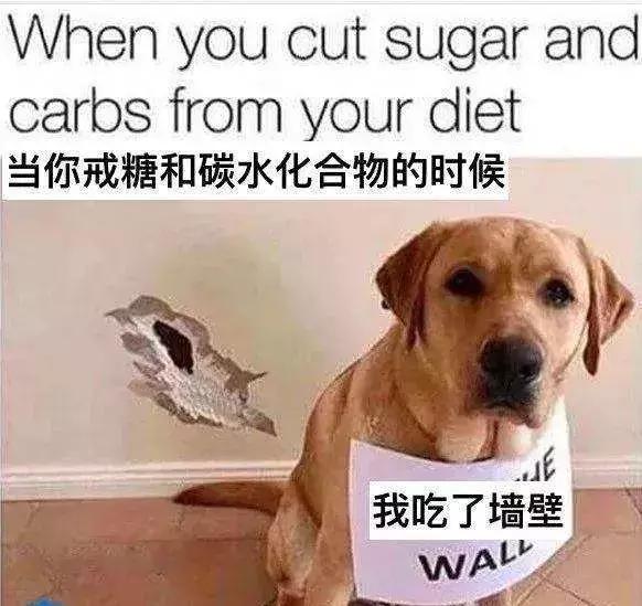 为了祛痘，小伙买10条活蚂蟥放脸上！结果悲剧了……