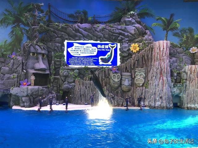亲子珠海长隆海洋王国一日游攻略,珠海长隆海洋王国游玩攻略亲子