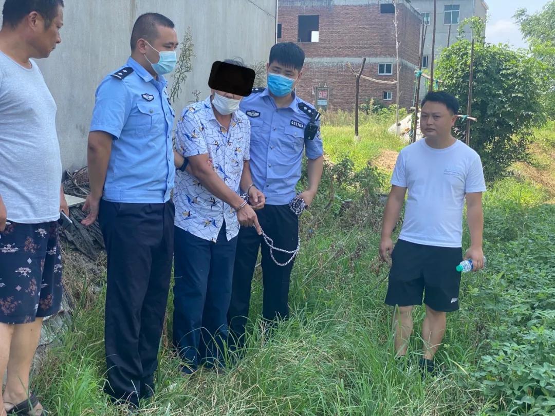 护航新征程回放,护航新征程在线观看