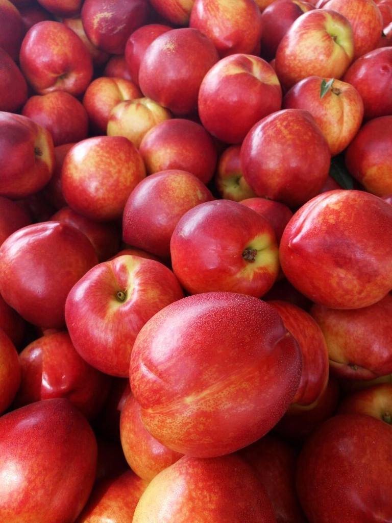 脆桃什么时候上市 (四川脆桃是什么品种)