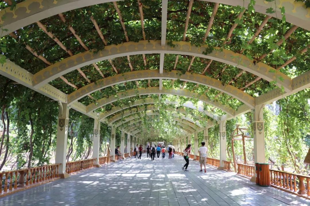 等疫情结束了和我一起去旅游吧,等疫情结束了我就带你去玩