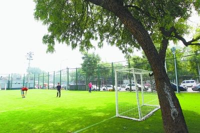 银狐里皮执教国足12强赛的视频,国足银狐里皮的漫漫征途