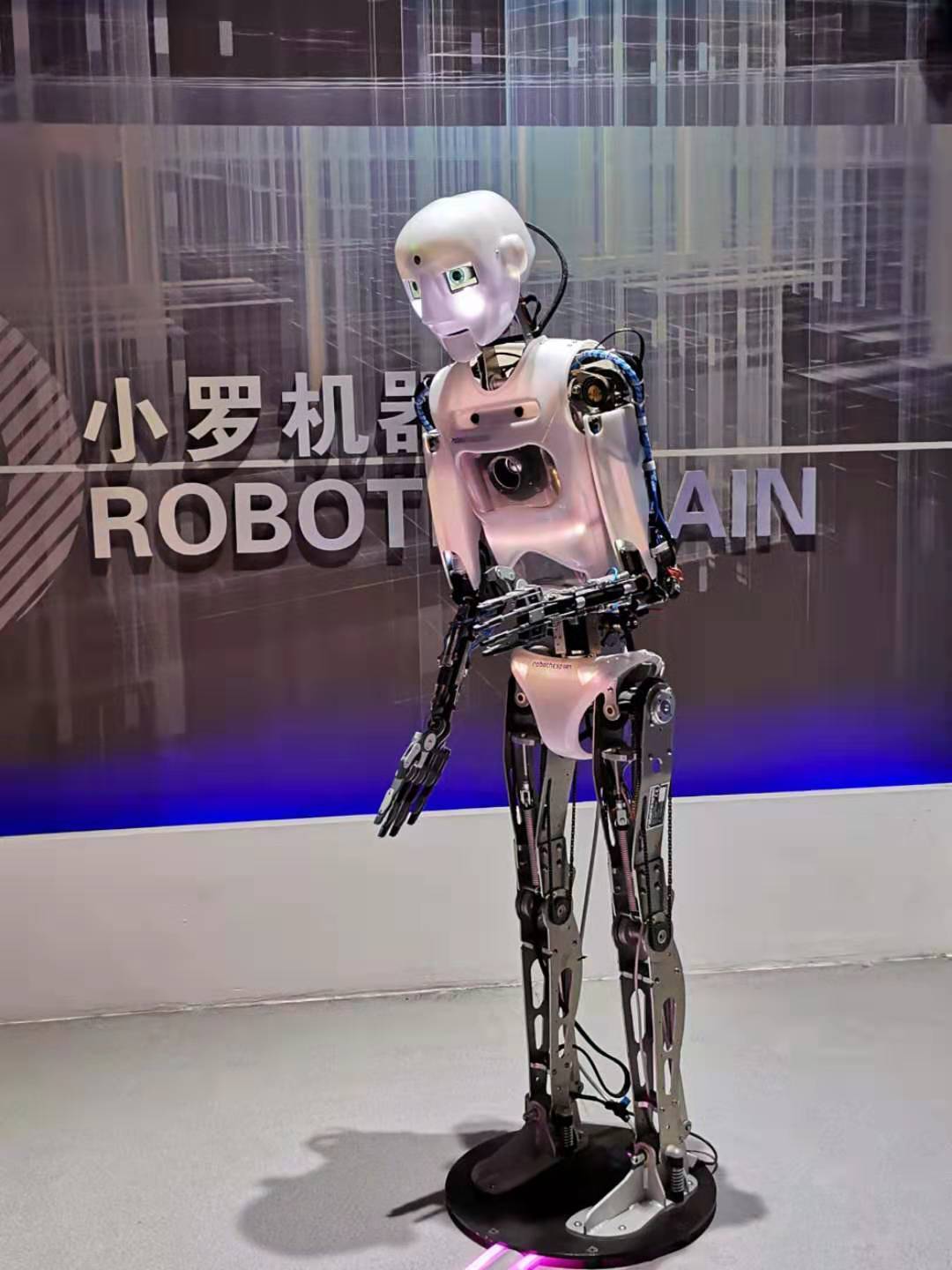 浙大机器人集训,浙江大学机器人训练营