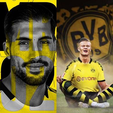 镜像布阵同曲异工，青壮蜂王捷足先登