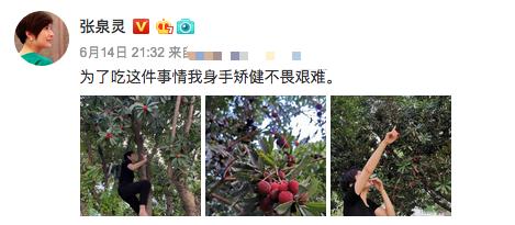 央视前主持人张泉灵近况,原央视主持人张泉灵现状