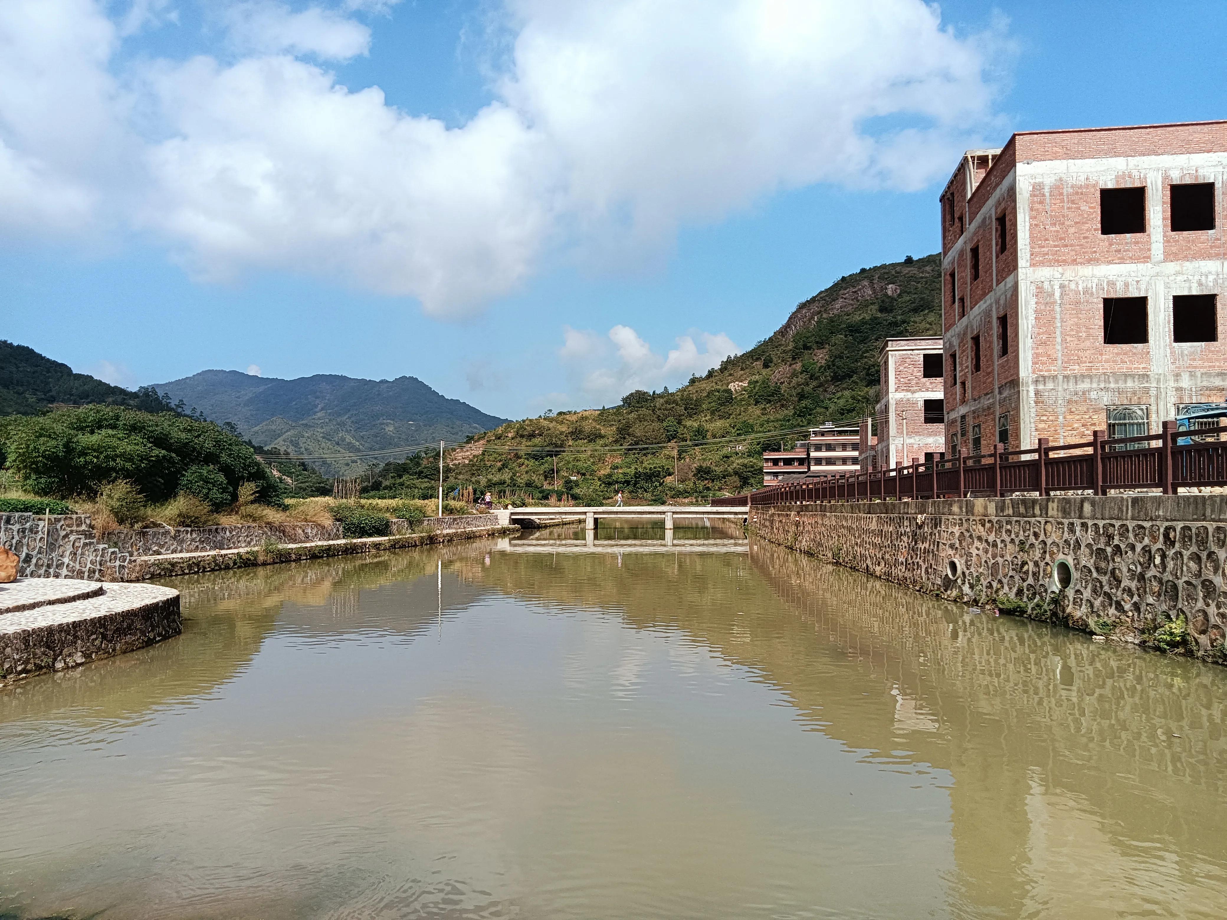 饶平三饶四方塘老榕树在哪里,榕树爷爷是合唱还是独唱