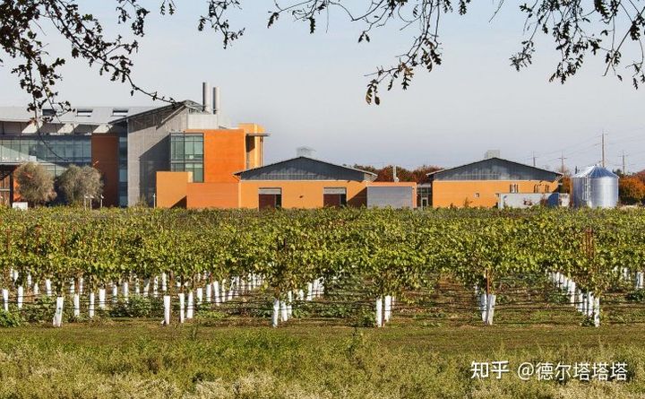 加州大学戴维斯分校和洛杉矶分校,加利福尼亚大学戴维斯分校qs