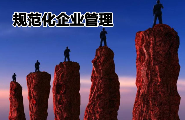 大瀚营销,大瀚营销成功案例