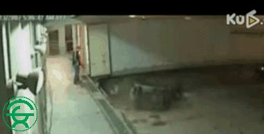 叉车操作事故……这不是意外，而是“自杀”