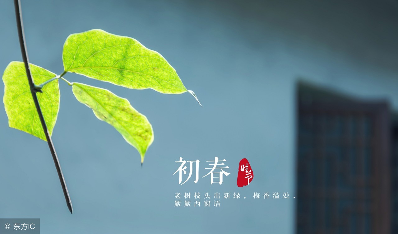 蓝颜知己最舒服的关系,蓝颜知己是怎样的一种相处方式