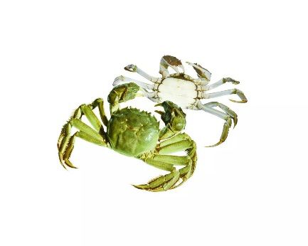 南昌vr产业大会直播回放,江西南昌vr大会在哪里