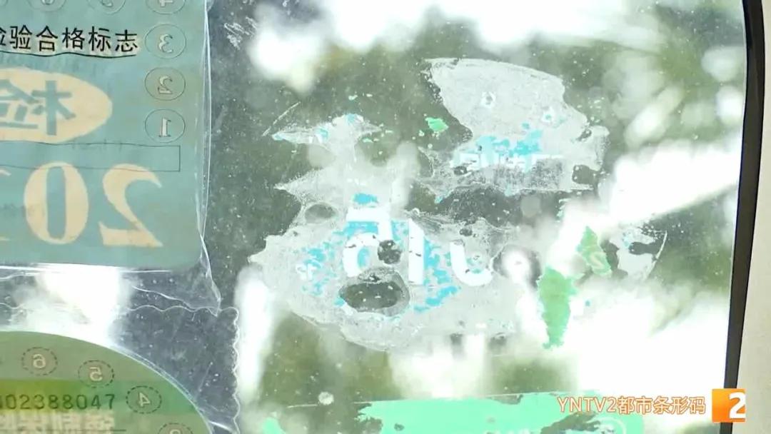 云南车检标志必须贴吗,云南省怎样申领车辆免检标志