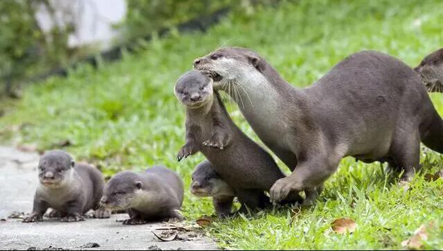 几岁的宝宝调皮,小孩子几岁最调皮