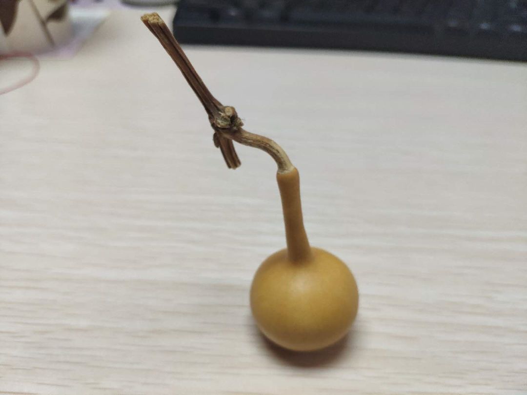 葫芦戴手套盘还是手盘,盘葫芦盘出香味