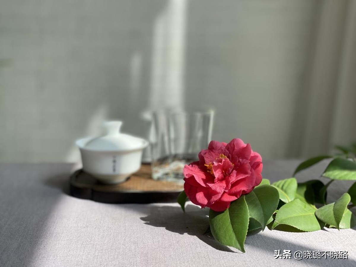 女人喷香水时，尽量别犯这3个“错误”，不然味道易散还难闻