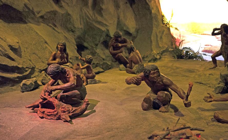 为什么动物都不用吃盐人不吃盐,野生动物没吃盐怎么回事