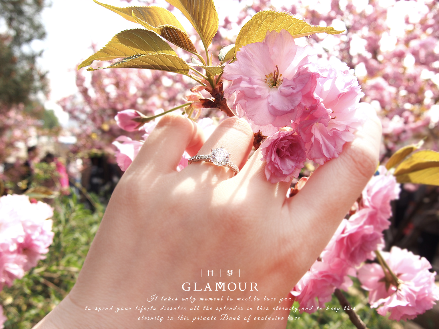 带gia证书的钻石一定是真的吗,gia钻戒号数对照表