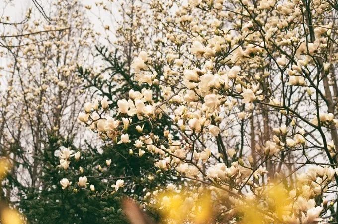 大连回到20年前,大连回到了故乡烟台