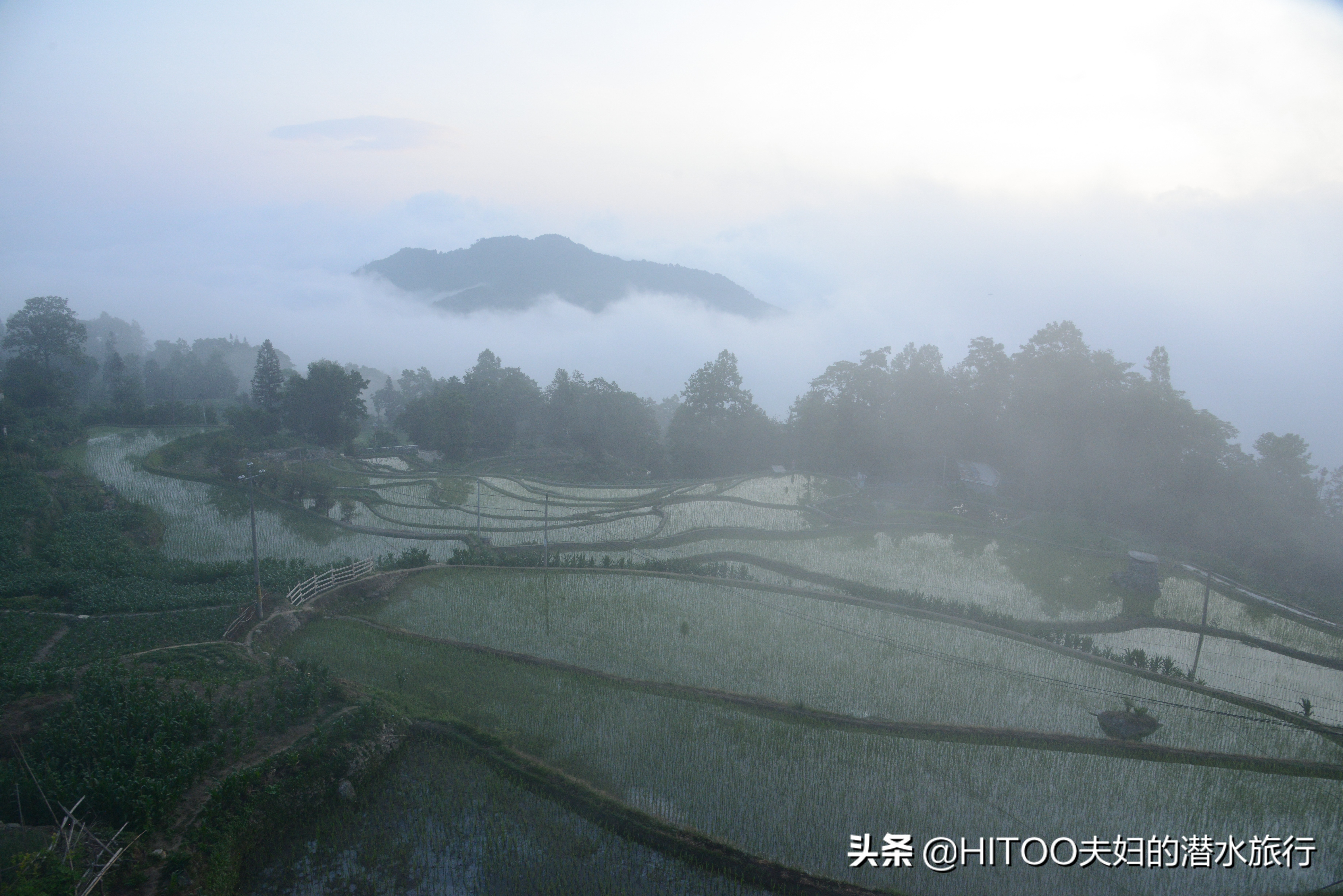 自驾元阳梯田旅游攻略时间,元阳梯田自驾游玩攻略路线